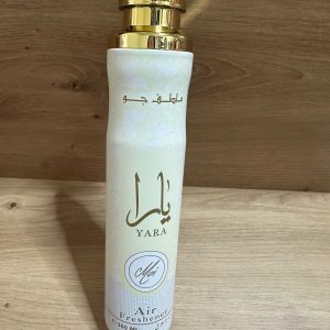 AMBIENTADOR ARABE MOI